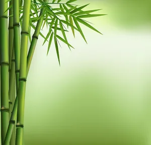 Mẫu tranh minh họa rừng tre trúc file AI 120