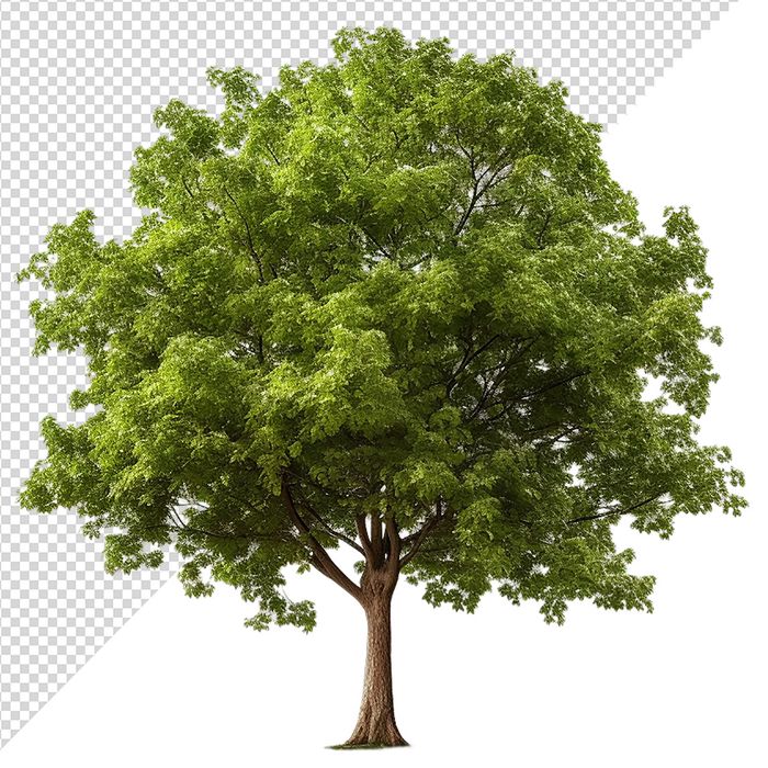 Ảnh cây xanh cổ thụ vector file PNG dạng pixel - S066