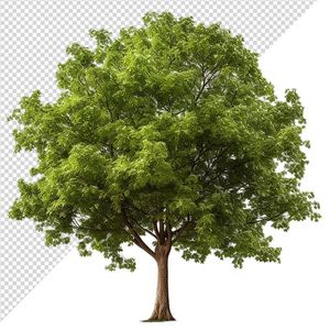 Ảnh cây xanh cổ thụ vector file PNG dạng pixel - S066