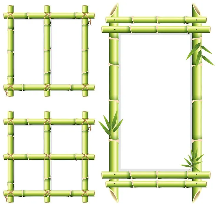 Bộ khung ảnh cây tre tự nhiên vector file AI 053