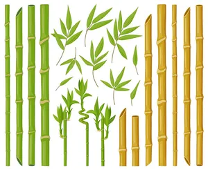 Mẫu ảnh minh họa tre tự nhiên vector file AI 051