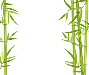 Mẫu backgroud cây tre vector file AI 094