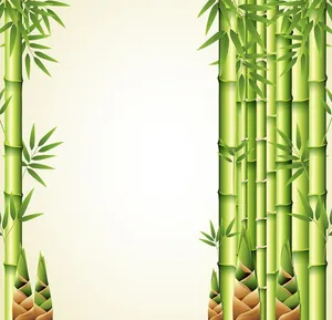 Mẫu backgroud cây tre, măng tre vector file AI 099