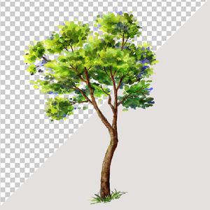 Ảnh cây lá bồ đề vector file PNG chất lượng cao - S018