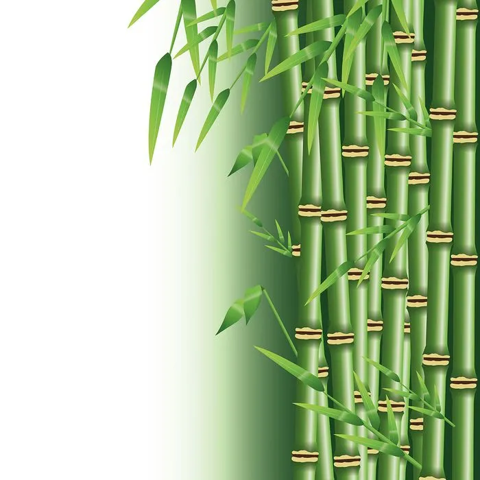 Mẫu backgroud cây trúc màu xanh nền trắng file AI 129