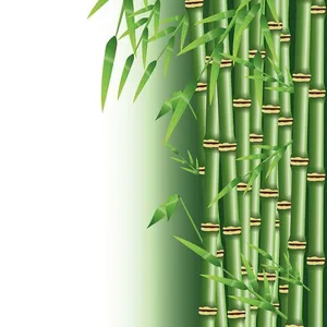 Mẫu backgroud cây trúc màu xanh nền trắng file AI 129