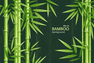Mẫu backgroud rừng tre trúc màu xanh chân thực file AI 160
