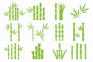Ảnh minh hoa cậy trúc, cây tre vẽ tay màu xanh vector File AI 140