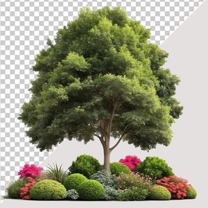 Ảnh cây xanh vector file PNG chất lượng cao - S012