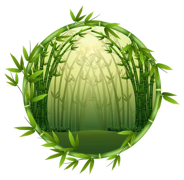 Khung ảnh cây tre tự nhiên vector file AI 042