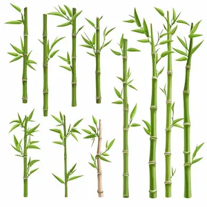 Ảnh minh hoa cậy trúc, cây tre vẽ tay màu xanh vector File AI 145