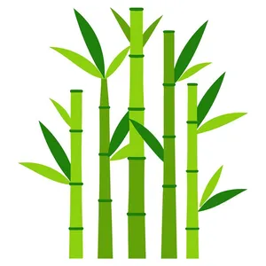 Ảnh minh hoa cây trúc, cây tre vẽ tay vector File AI 222