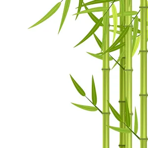 Ảnh minh hoa cây trúc, cây tre vẽ tay vector File AI 232