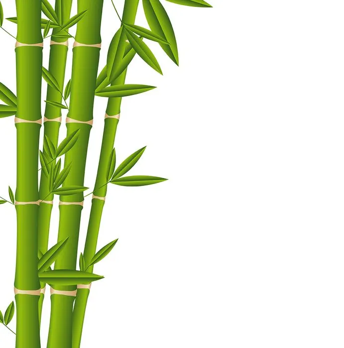 Mẫu ảnh minh họa cây tre, trúc tự nhiên file AI 130