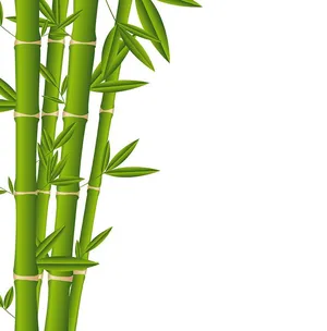 Mẫu ảnh minh họa cây tre, trúc tự nhiên file AI 130