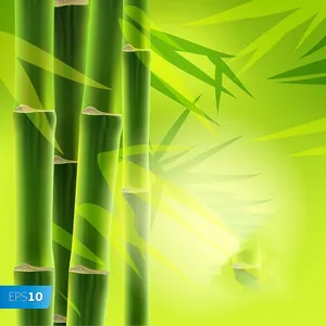 Mẫu backgroud khung cây trúc màu xanh file AI 109