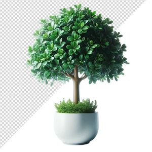 Ảnh cây xanh cổ thụ vector file PNG chất lương cao - S071