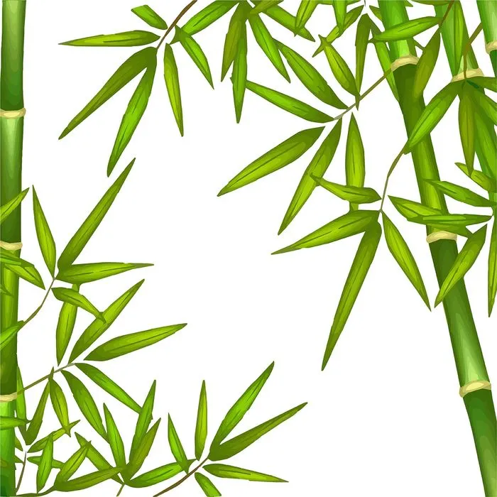 Mẫu backgroud cây trúc màu xanh nền trắng file AI 126