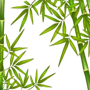 Mẫu backgroud cây trúc màu xanh nền trắng file AI 126