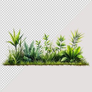 Ảnh cây xanh, cây cỏ vector file PNG chất lượng cao - S027