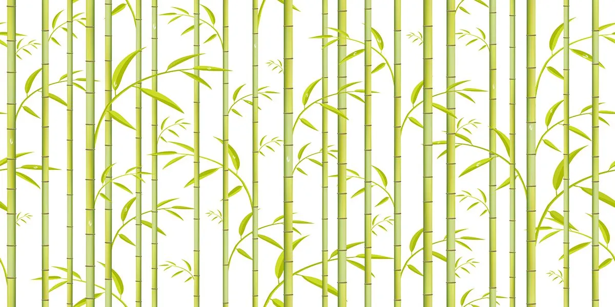 Mẫu backgroud cây trúc màu xanh vẽ tay file AI 123