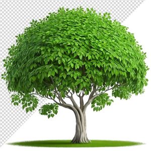 Ảnh cây xanh vector file PNG dạng pixel - S057