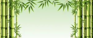 Backgroud cây tre màu xanh tối giản file AI 009