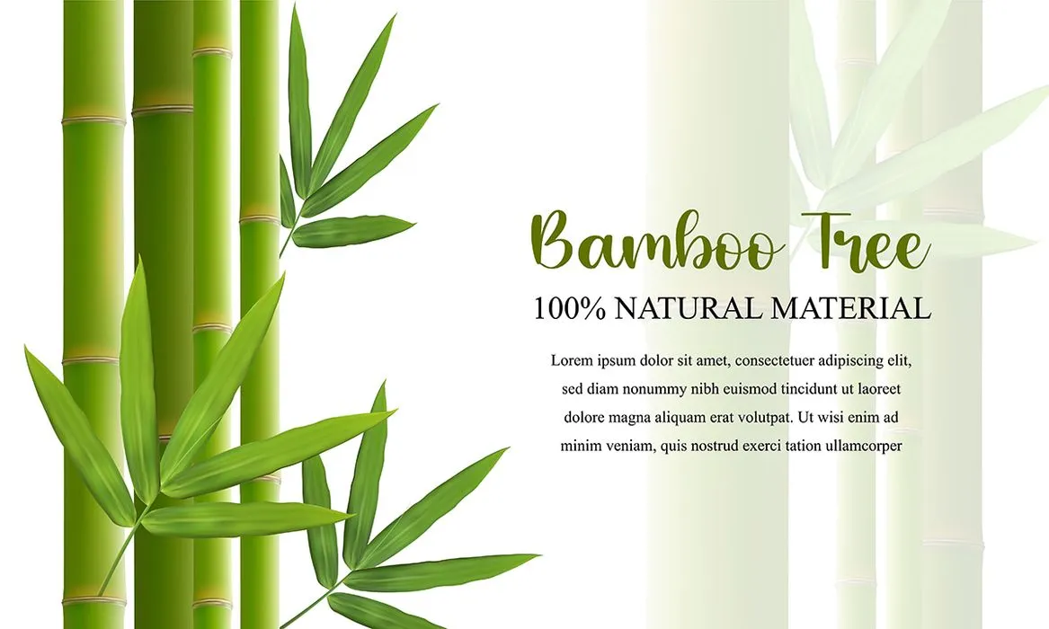 Mẫu banner backgroud cây tre tranh file AI 0565