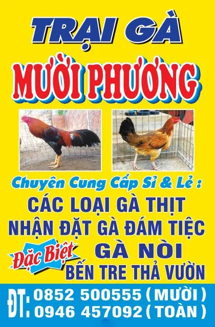 Market biển vẫy biển hộp trại gà giống chất lượng cao - file corel